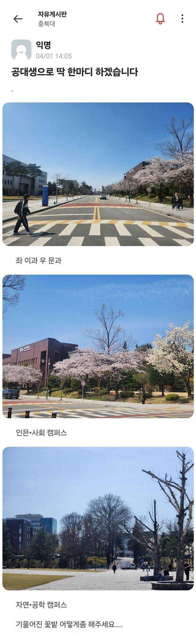 대학교의 기울어진 캠퍼스.