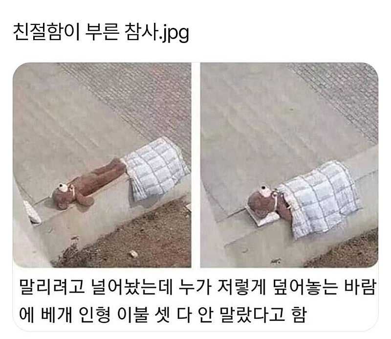 친절함이 부른 참사.