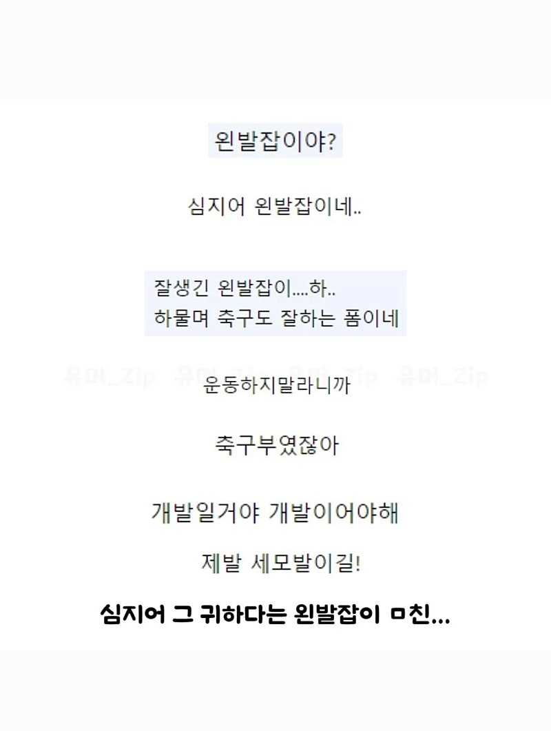 집앞 산책 나갔다가 축구하는 차은우를 직관할 확률.avi